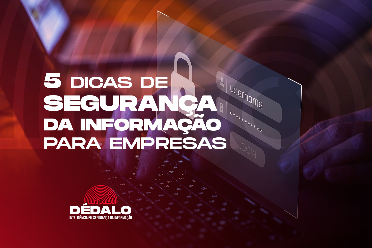 5 dicas de segurança da informação para empresas